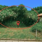 【売土地】恩納村谷茶 339万円 136㎡／41.14坪